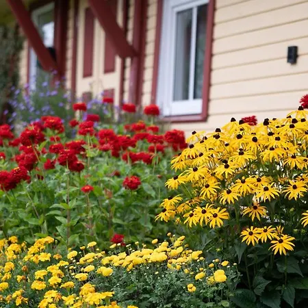 Vana-soeoedi Puhkemaja Ferienhaus Urvaste (Voru)