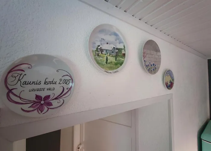 Vana-soeoedi Puhkemaja Casa vacanze