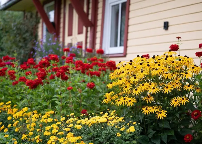 Vana-soeoedi Puhkemaja Holiday home Urvaste (Voru)